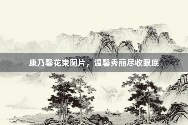 康乃馨花束图片，温馨秀丽尽收眼底
