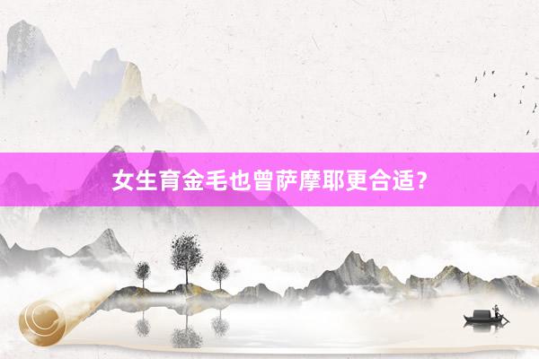 女生育金毛也曾萨摩耶更合适？