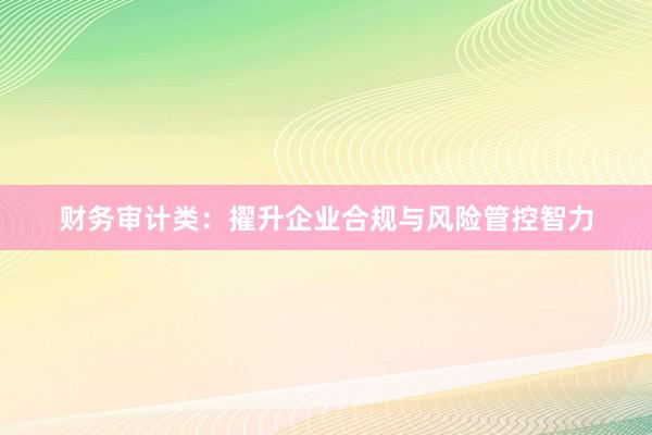 财务审计类：擢升企业合规与风险管控智力